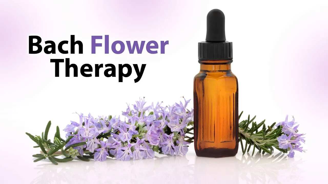 Bach Flower Therapy How Can This Enhance Immunity During Pandemic?