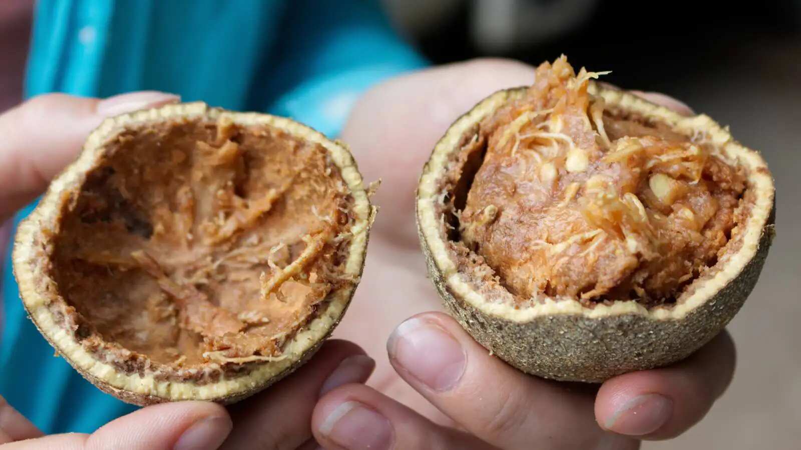 Try bael or wood apple this summer for these 9 health benefits!