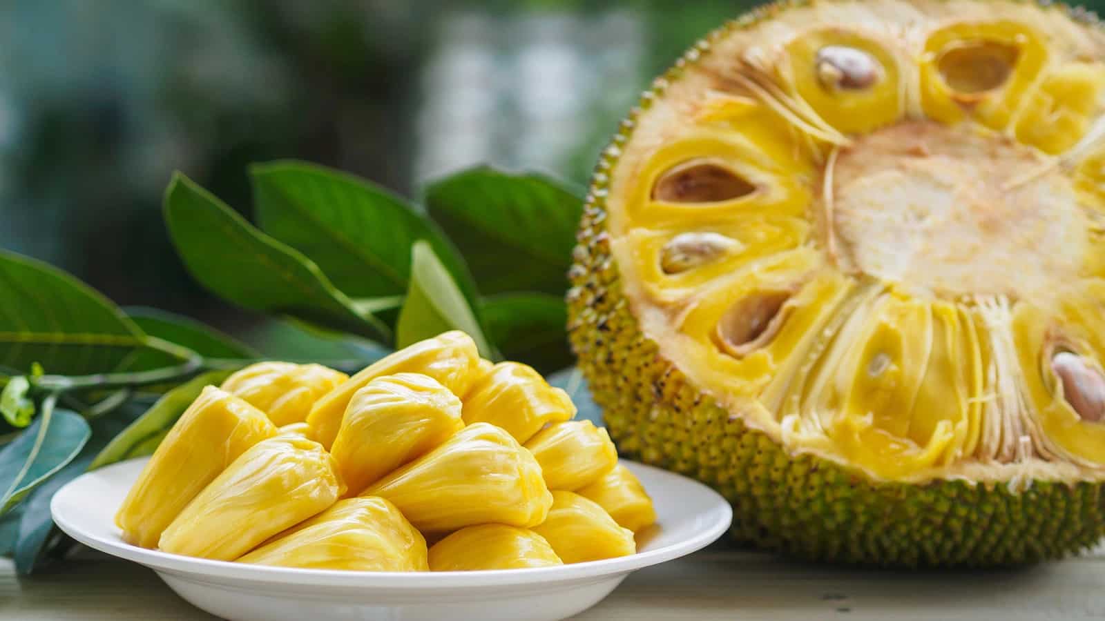 Nutritional Value Of Jackfruit Leaves Besto Blog