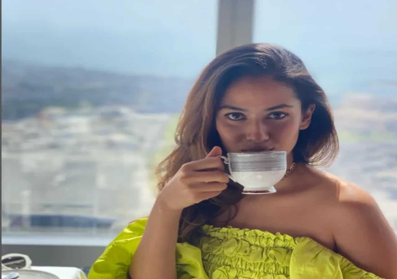 High Tea At Burj Khalifa Or Sev Puri? Mira Kapoor Has Her Priorities Clear