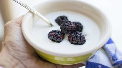 How To Make Curd: 2 Ways To Set Curd At Home Fuss-Free