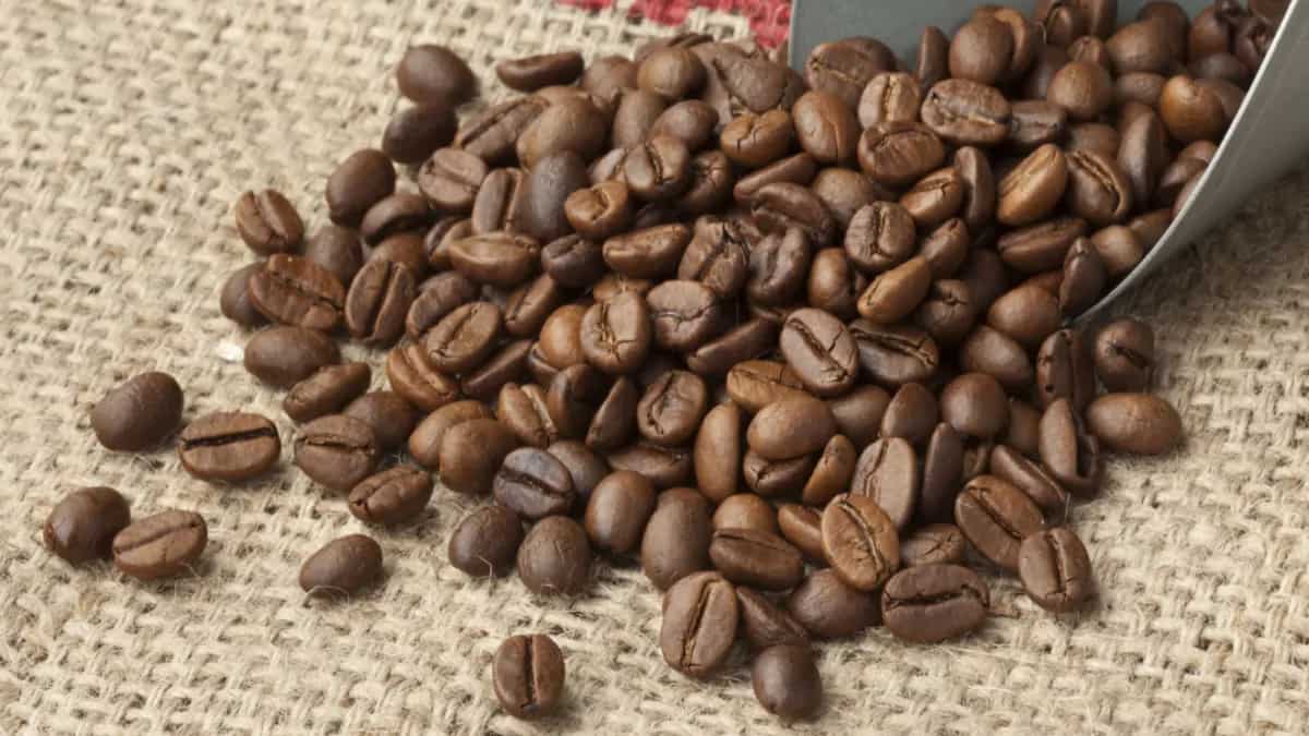 Heard The Unique Backstory Of GI-Tagged Malabar Coffee?