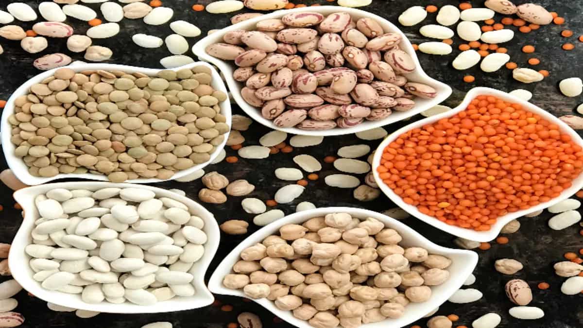 7 Beans And Legumes You Must Include In Your Diet
