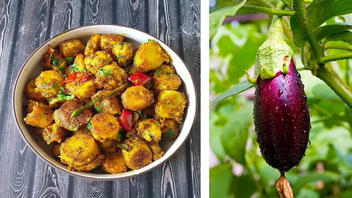 Watch: Impress Your Guests With This Brinjal And Arbi Platter