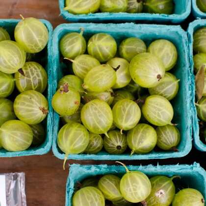 Pickle To Chutney: Healthy Gooseberry Recipes You Should Try This Season