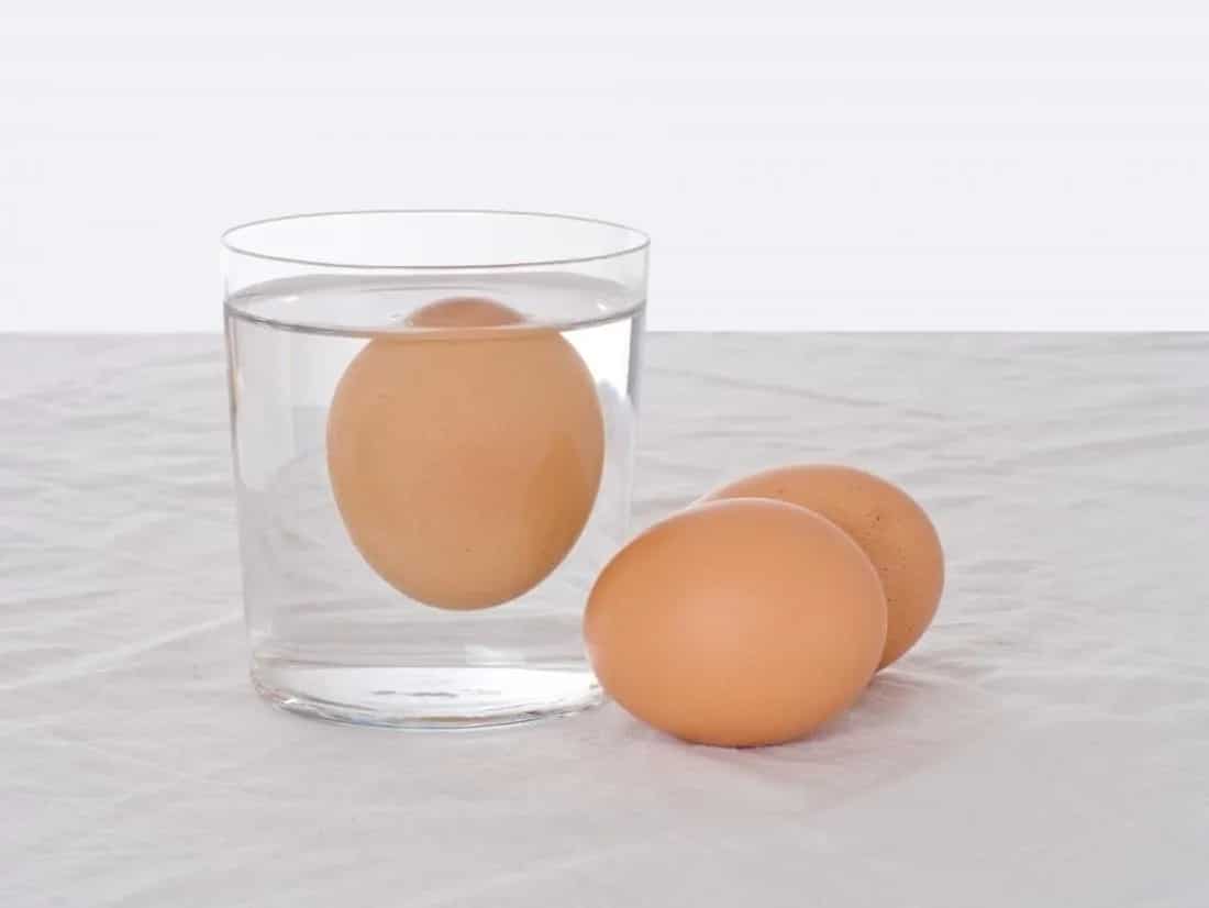 Try this easy method of testing the eggs for freshness