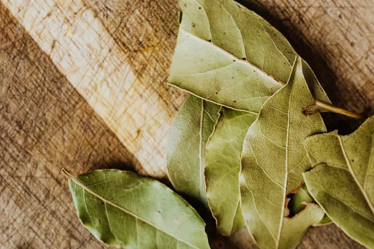 Know Your Spices: 5 Reasons Why Bay Leaf Oil Is Beneficial For Health