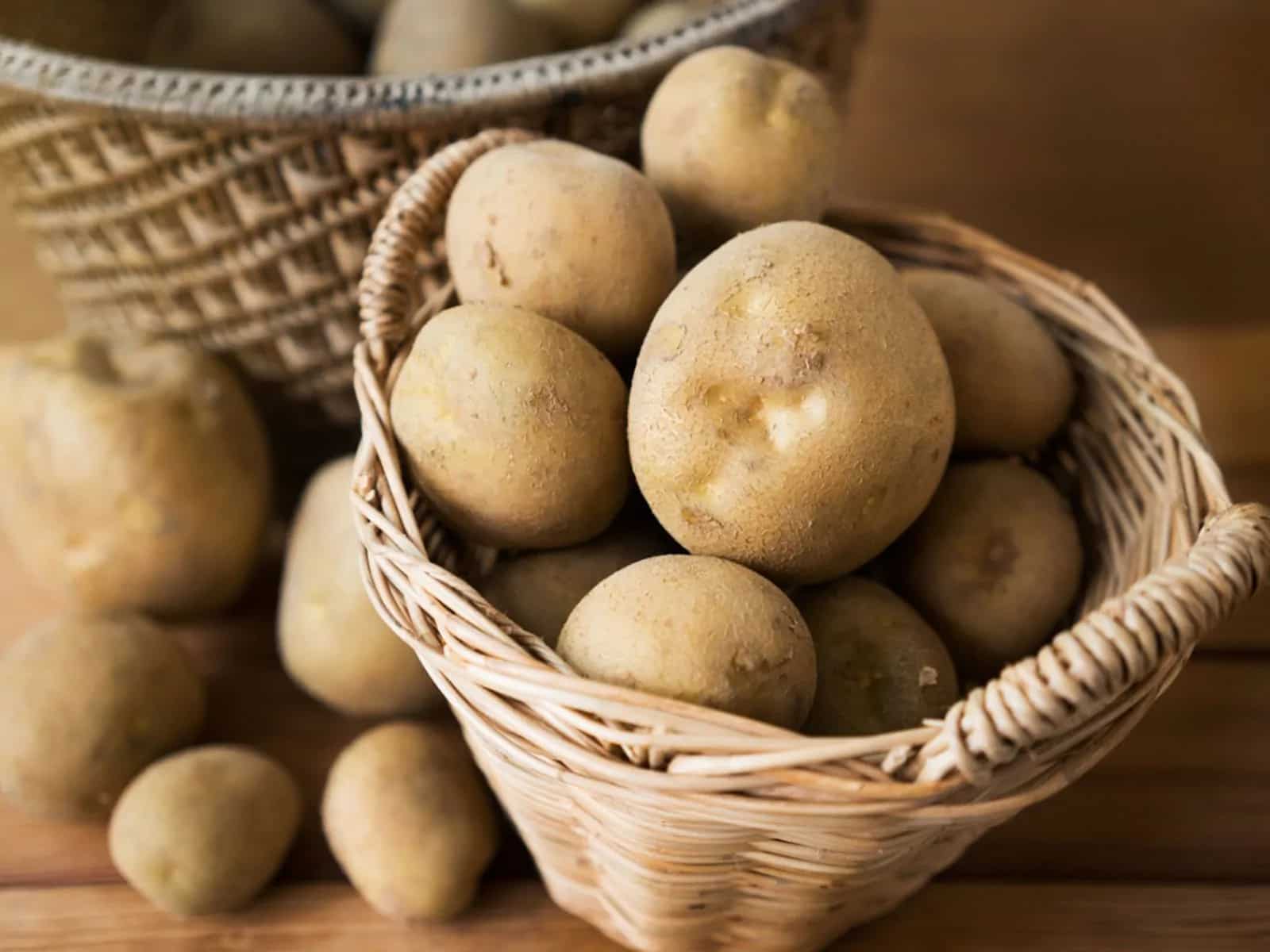 Potato Storage Methods What Is The Best Way To Keep Them Fresh?