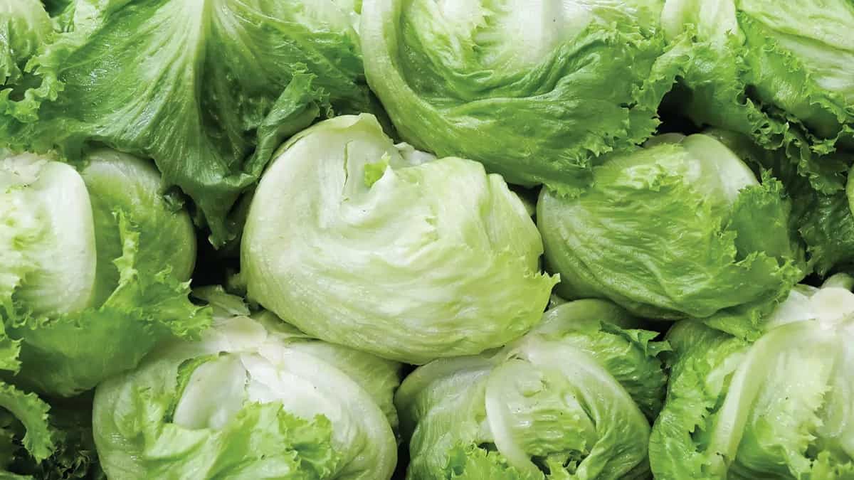 Why It’s A Gustatory Crime To Replace Iceberg Lettuce With Cabbage