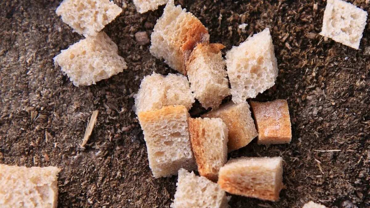 Masala Veggie Bread Crumble: A Quick Lunch Recipe That Is Tasty And Easy 