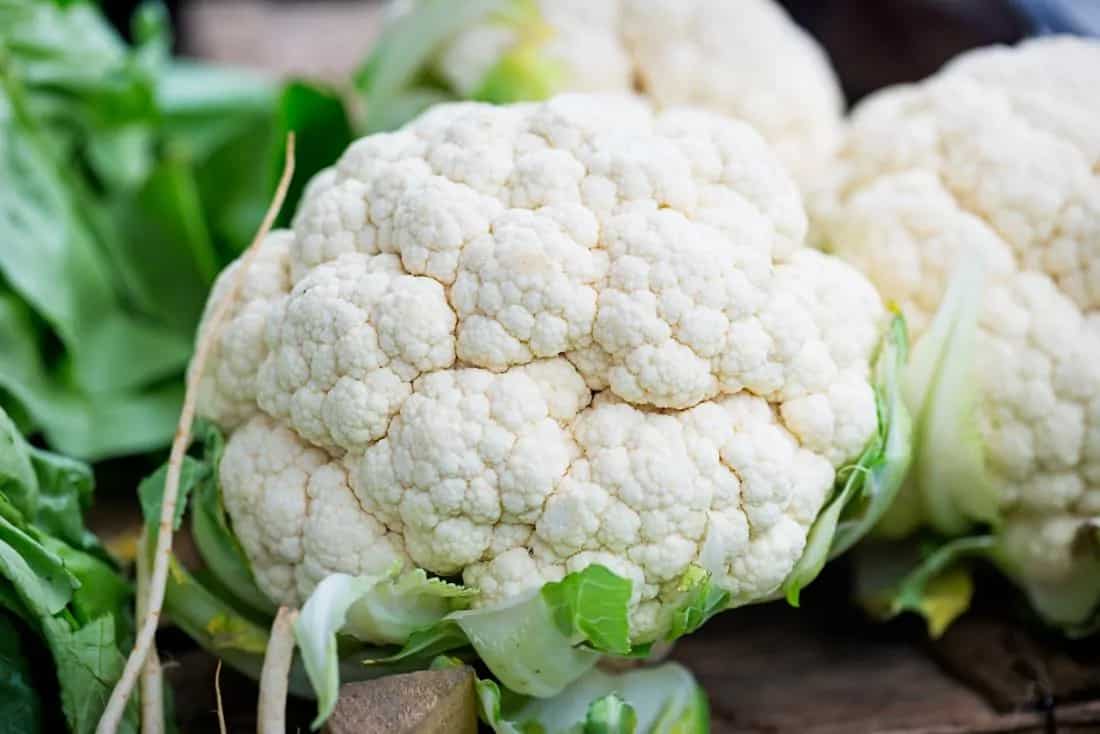 Cauliflower Nutrition 5 Health Benefits Of Consuming This Vegetable