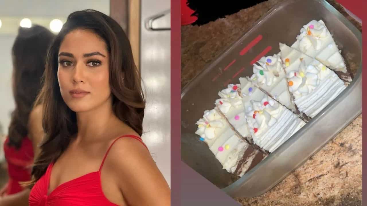 Unlike Joey, Mira Kapoor Does Share Food: Look What She Sent Her BFF