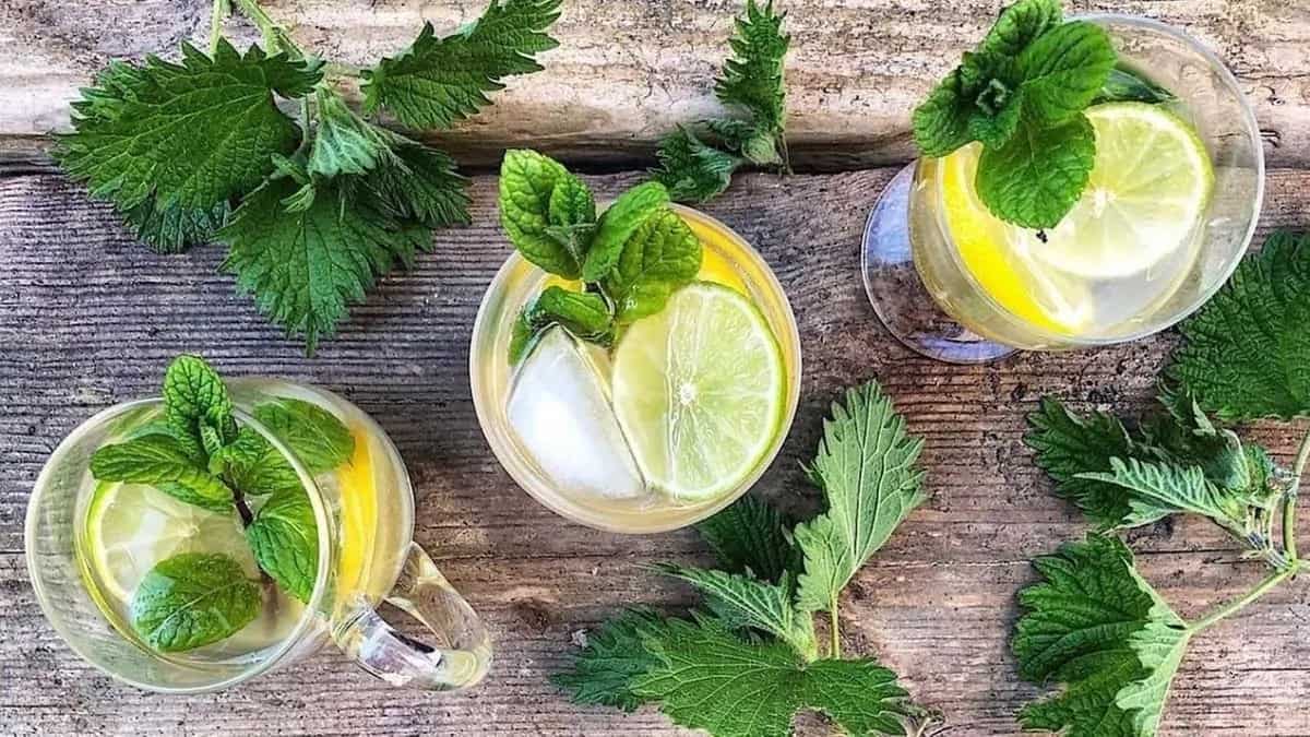 Bichhu Booti To Lingru: 5 Rare Greens In India You Must Try 