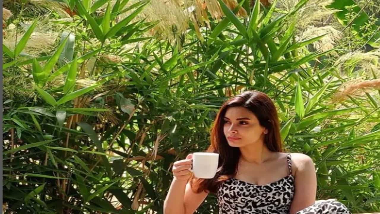 Look At Diana Penty’s Drool-Worthy Thai Lunch; 4 Thai Recipes To Swear By