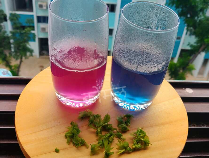 Butterfly pea Tea... 