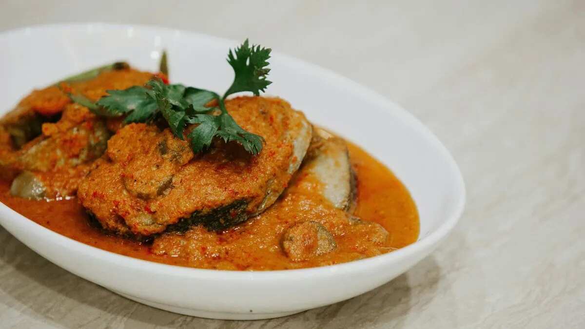 Fish Korma Recipe: Creamy Mughlai Curry For Family Gatherings