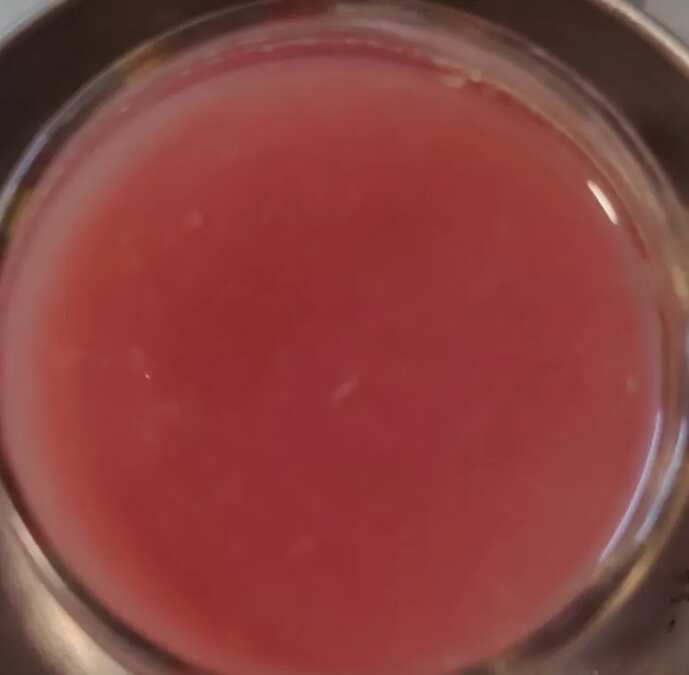 Pomgranite Orange juice(Rainbow Colour)