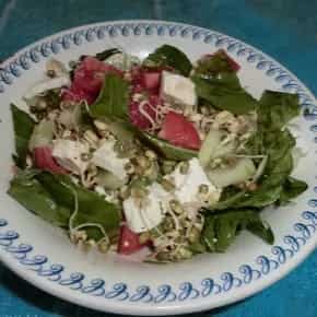How to make Moong Sprouts And Spinach Salad Recipe
