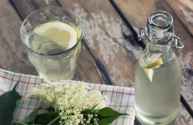 Elderflower Cordial