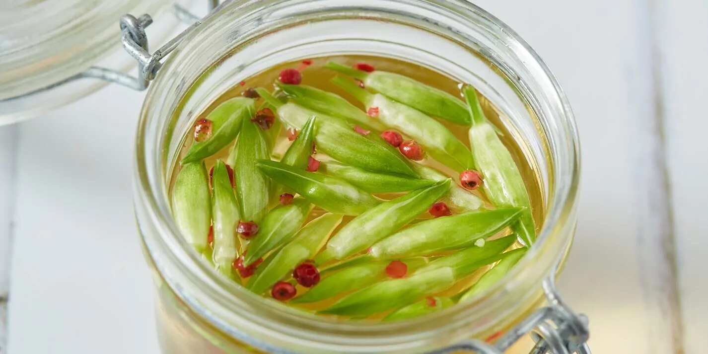 How to make Pickled Wild Garlic Buds Recipe