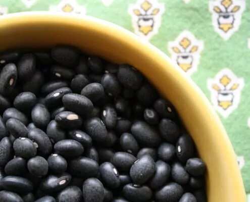 Hipster Black Beans Inspired By Memories Of Being Cool