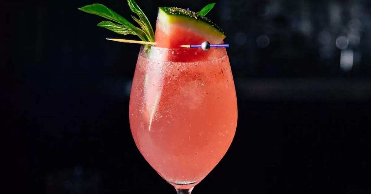 Watermelon And Basil Gin And Tonic