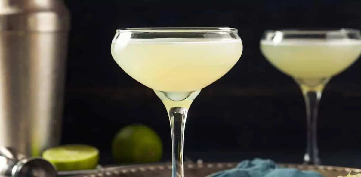 How to make Spicy Jalapeno Gimlet Recipe