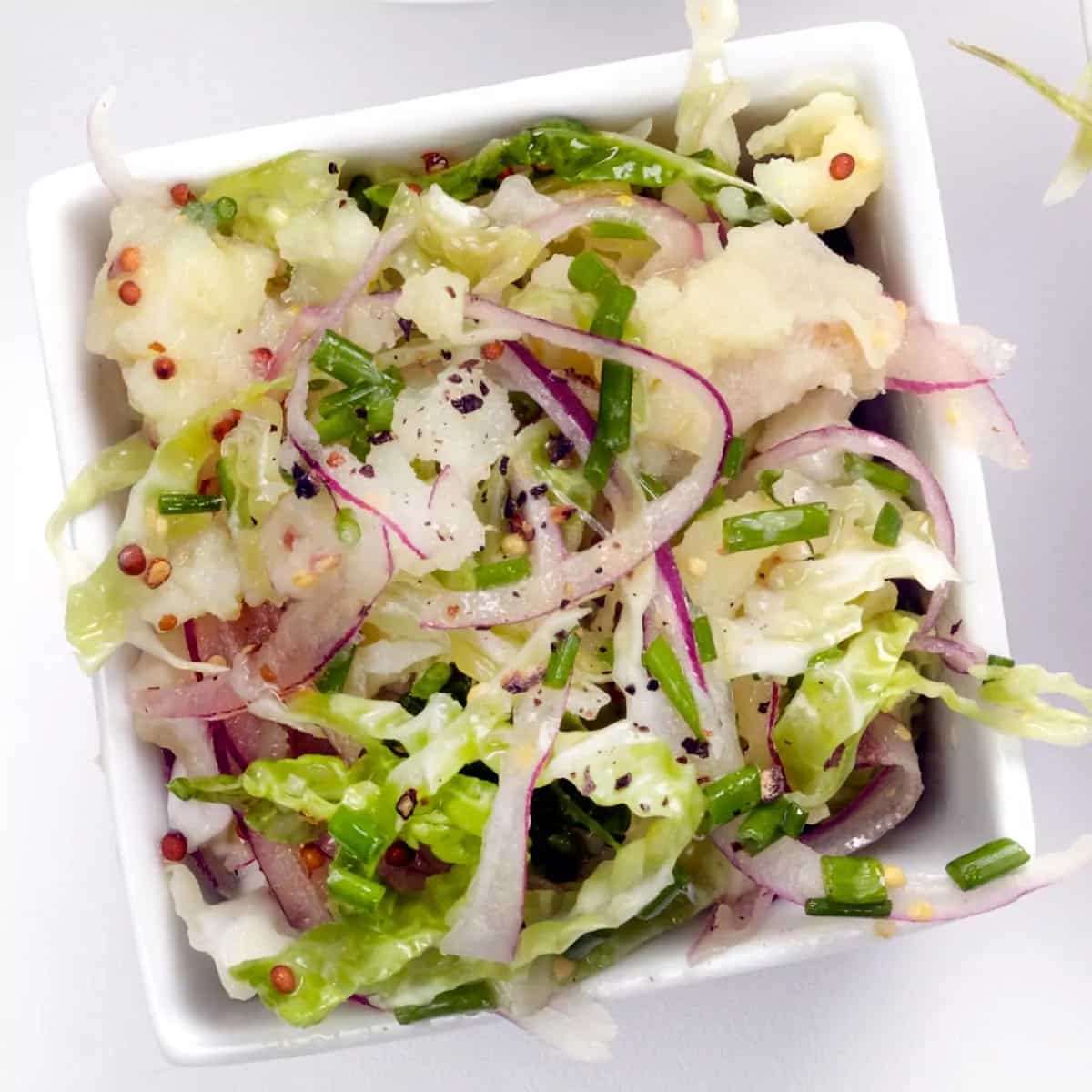 How to make Northern Italian Coleslaw Recipe