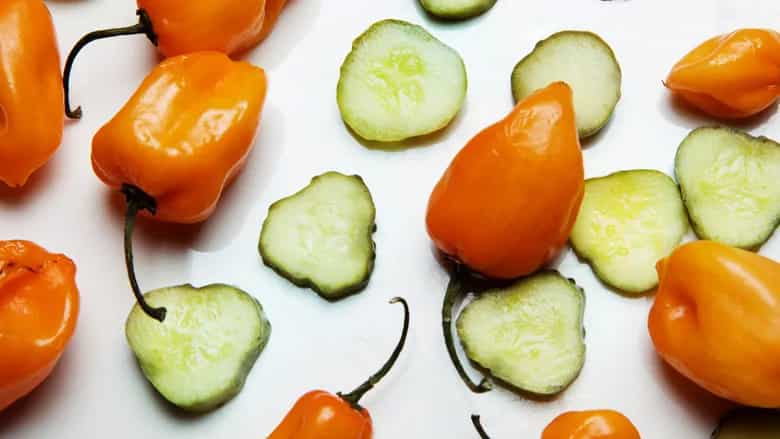 How to make Carla Hall's Spicy Pickle Habanero Brine Recipe