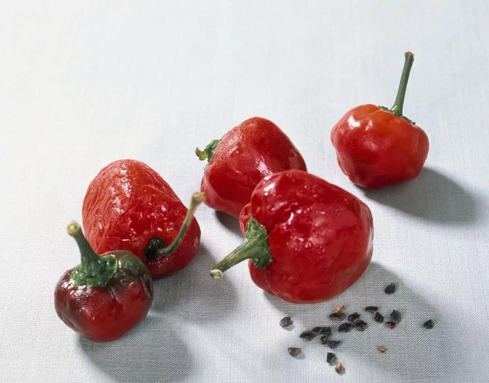 How to make Crema De Rocoto Spicy Rocoto Pepper Sauce Recipe