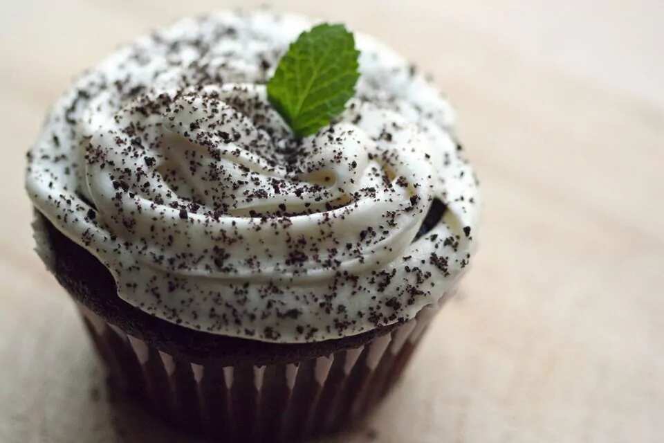 Chocolate Cupcakes