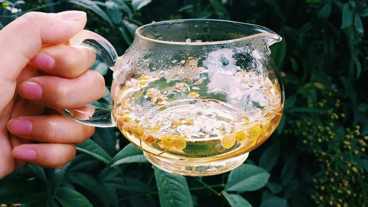 6 loại đồ uống hỗ trợ giải độc gan tự nhiên 3 6 loại đồ uống hỗ trợ giải độc gan