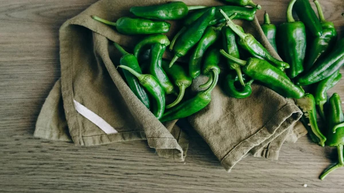 10 Health Benefits Of Fresh Jalapenos To Explore