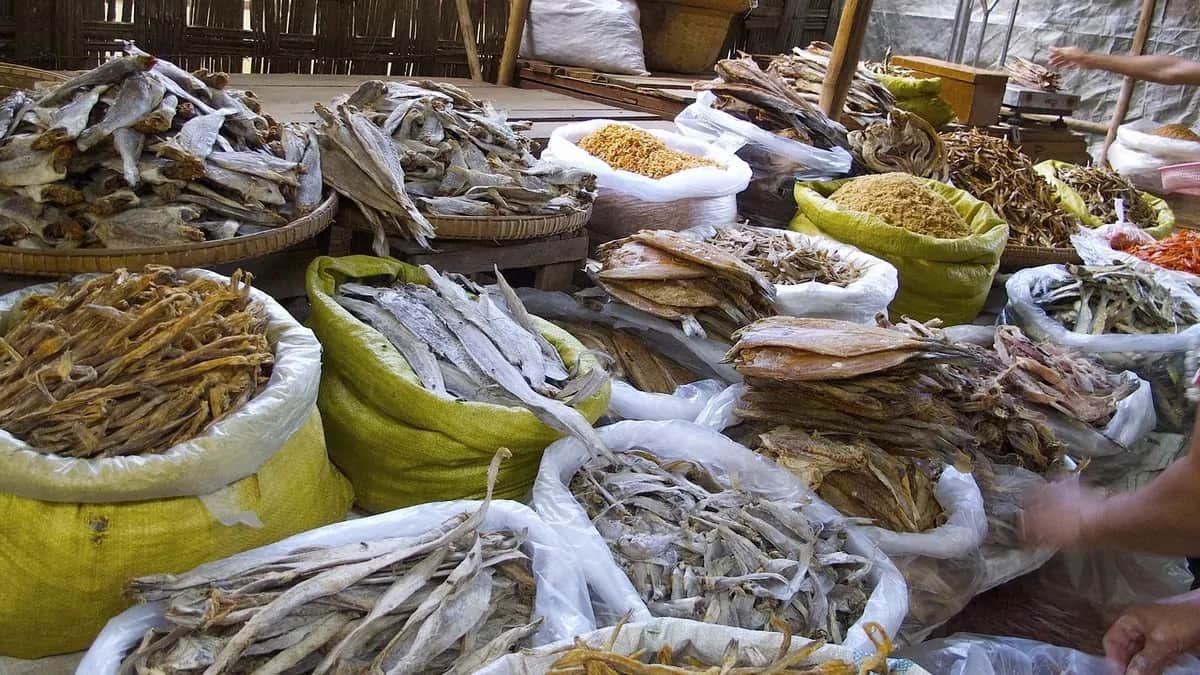 Love Seafood? 5 MustTry Dried Fish Varieties
