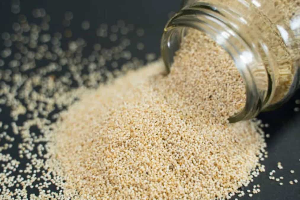 Posto Bhaja To Payesh: The 7 Poppy Seed-Based Dishes To Try This Summer