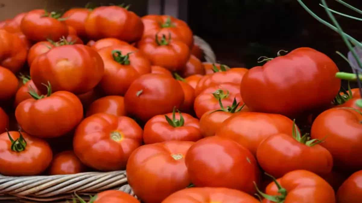 Hike In Tomato Price Triggers Hilarious Reactions