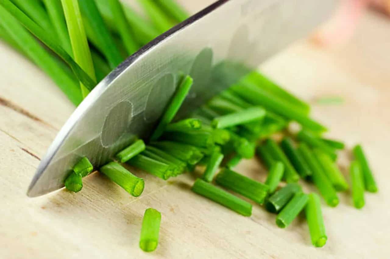 Chives Vs. Green Onions Exploring The 4 Key Differences