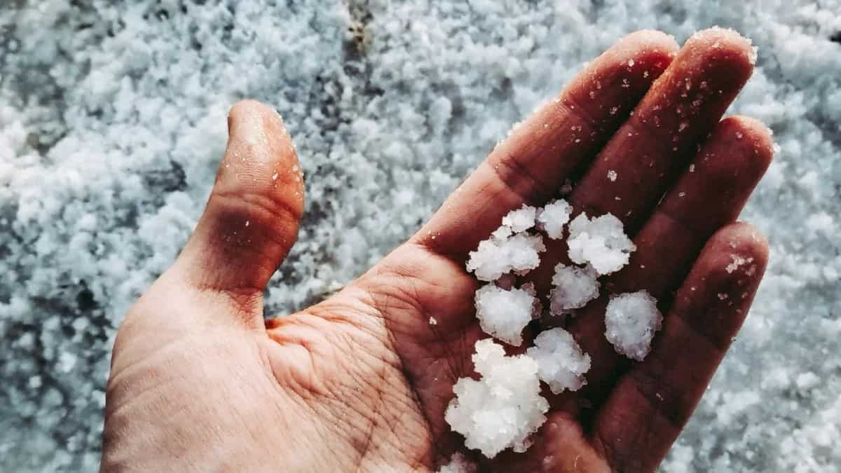 6 Kitchen Tips With Salt You Didn't Know About