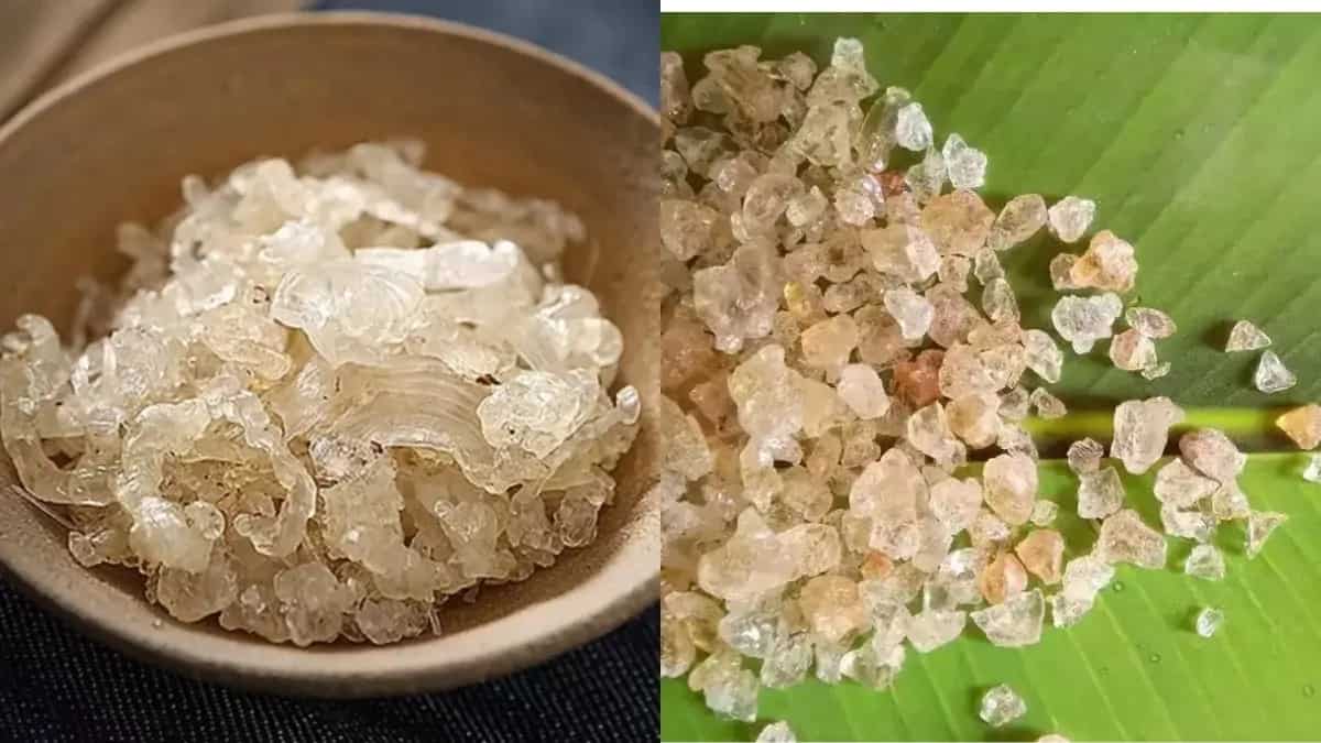 Gond vs. Gond Katira: What Is The Difference?