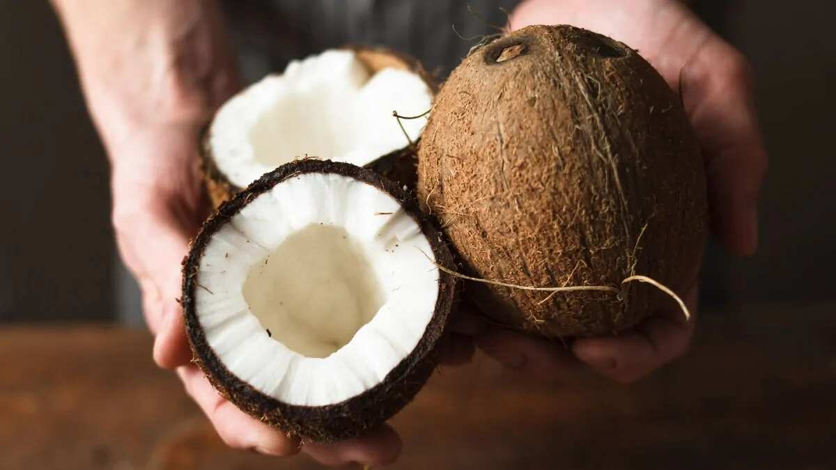 6 Coconut Dishes That Showcase India's Diverse Cuisines