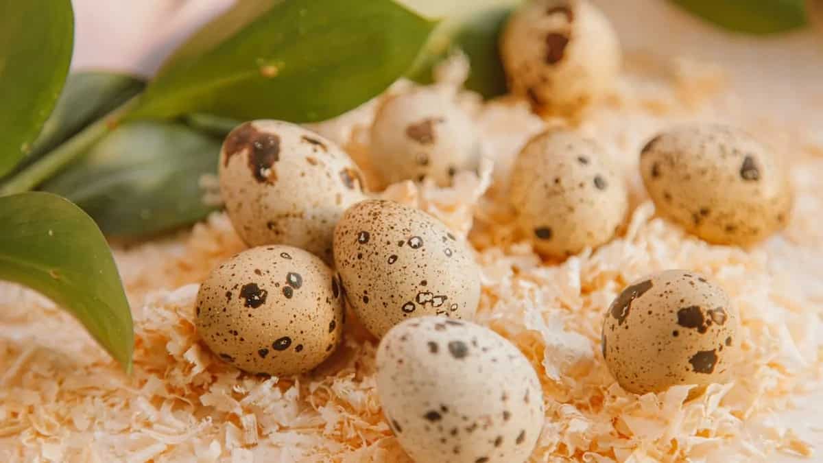 Chicken Eggs Are A Passe, Try These Instead