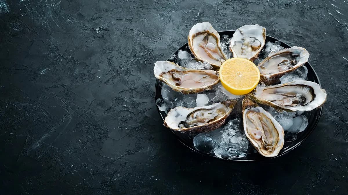 Oyster Bae: A Brief Ode To Ostreidae