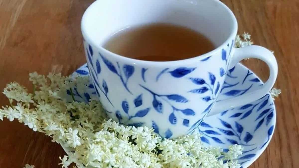Here's How You Can Make Elderflower Tea At Home