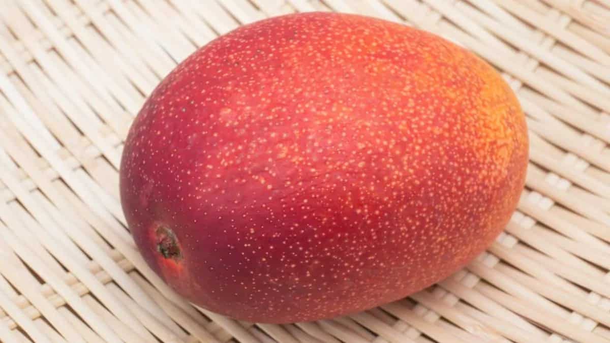 Not Just Miyazaki Mangoes, Japan Has A Yen For Luxury Fruit