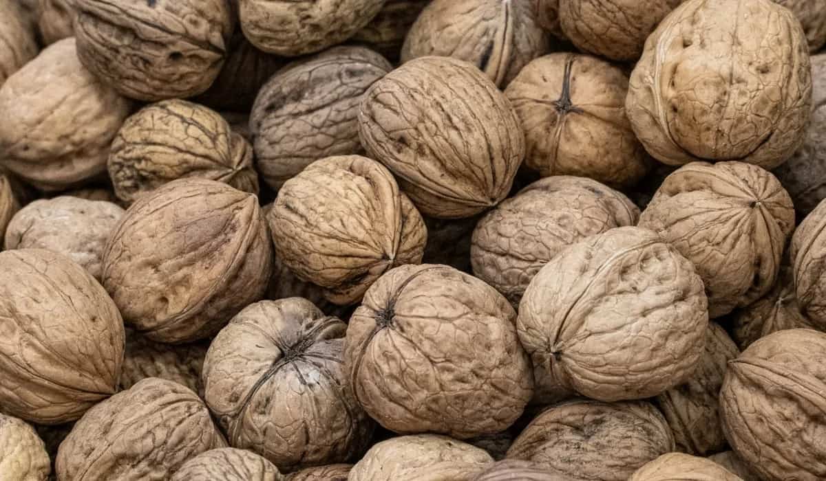 Nutmeg The Spice Rich In History And Potential Health Benefits