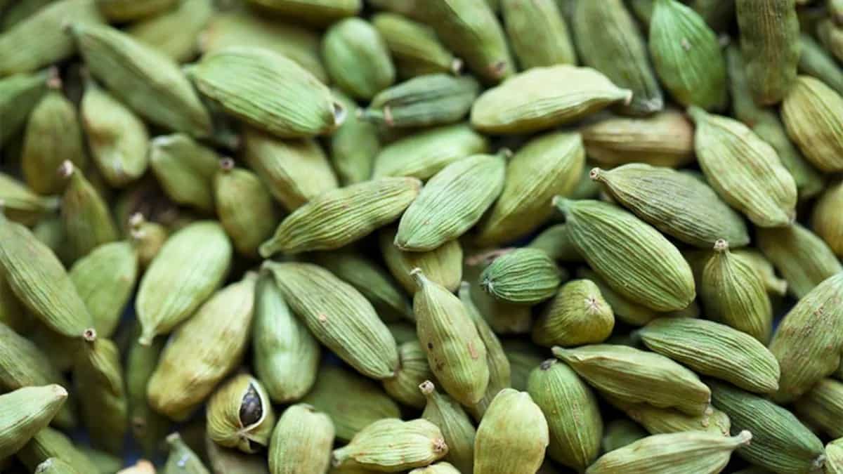 7 Spice Garden Ingredients From Kerala That define Every Dish