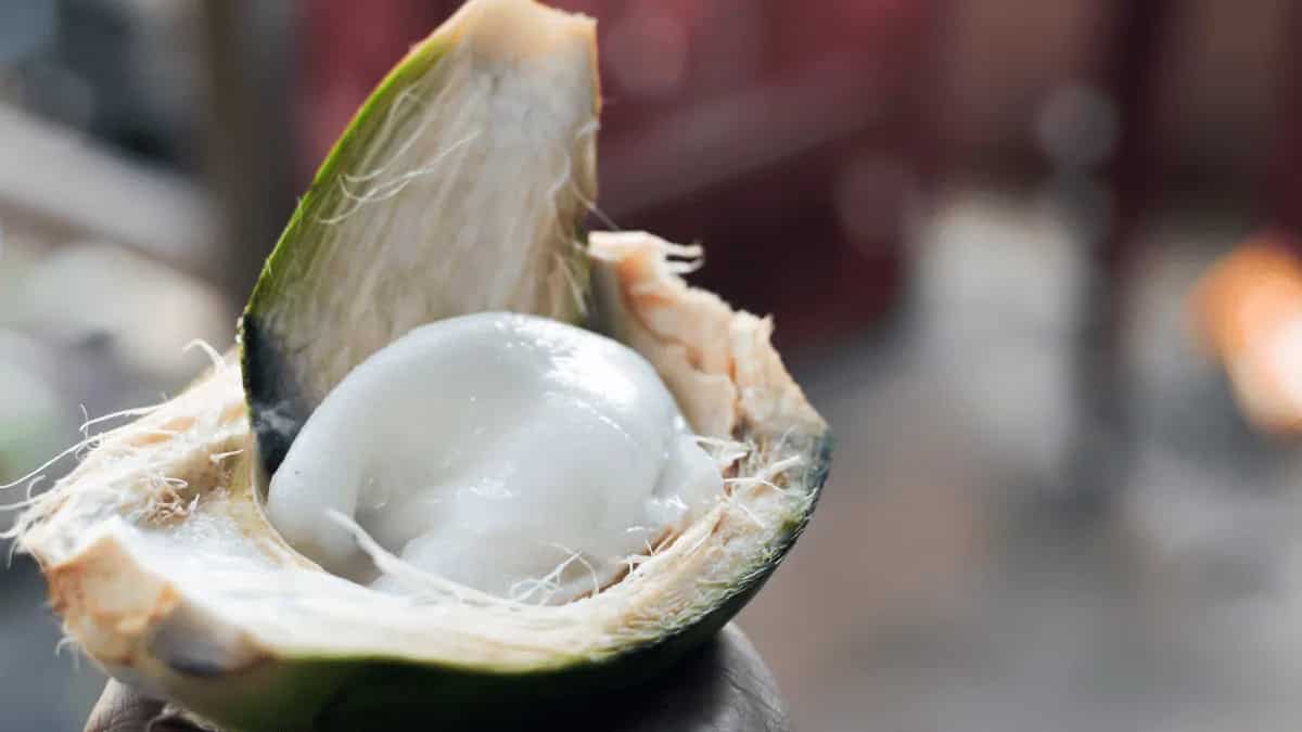 Coconut Malai 7 Amazing Health Benefits You Should Know