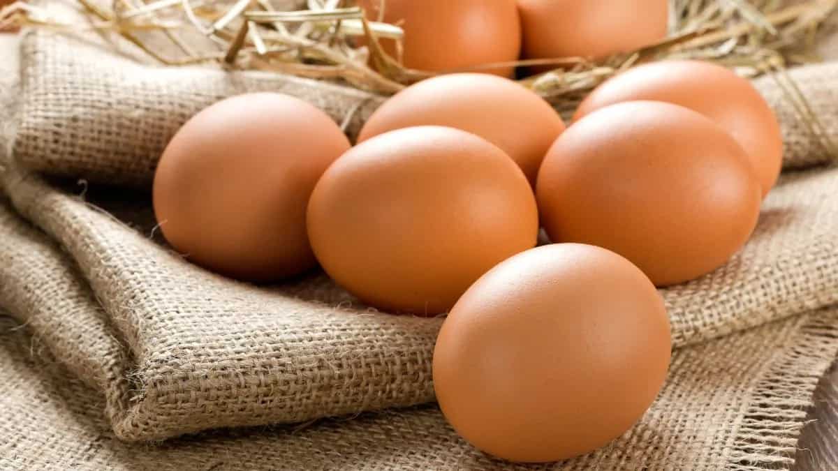 How Eggs Started A War During The California Gold Rush