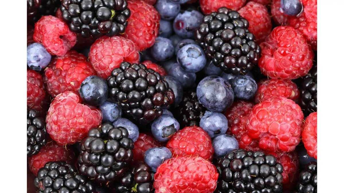 Exploring 7 Health Benefits Of AntioxidantRich Berries