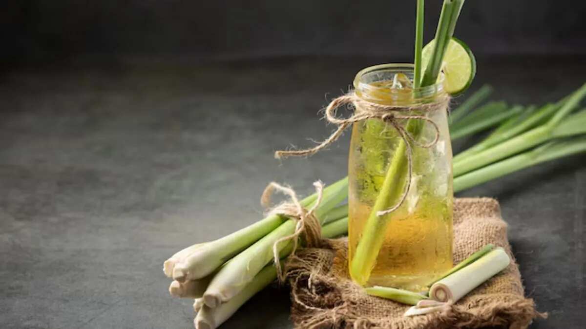 Tips On How To Grow Lemongrass At Home